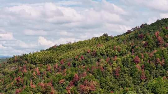 航拍秋天的山地森林地貌