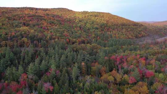 航拍秋季茂密森林的颜色变化