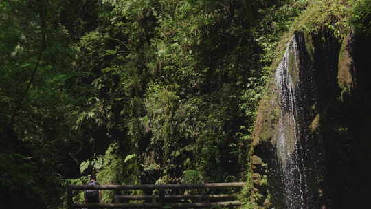 青城山古栈道