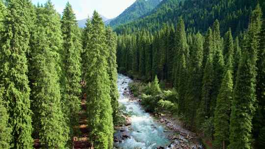 森林溪流大自然升格慢动作