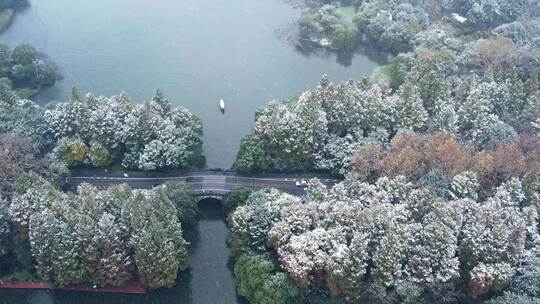 【合集】杭州西湖雪景六和塔雪景