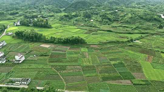 安徽皖南山村农田航拍