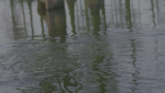 湖北涨渡湖春天湿地划船水波纹地拍