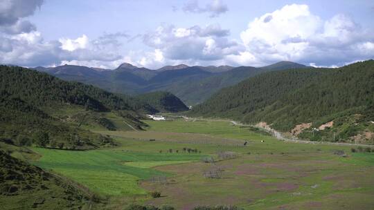 高山牧场农业农场