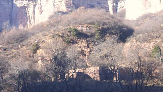 风景 树 山 旅行 游玩