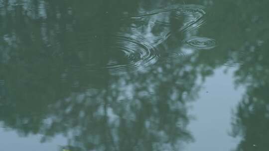 水中钓鱼的浮漂