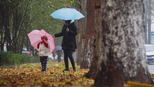 深秋雨天落叶行人