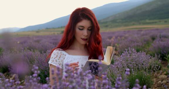 红发女人在薰衣草田看书