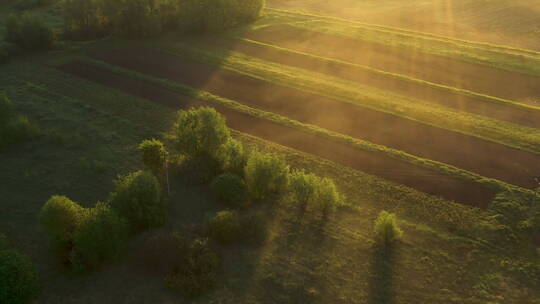清晨阳光撒在田野上自然景观视频素材模板下载