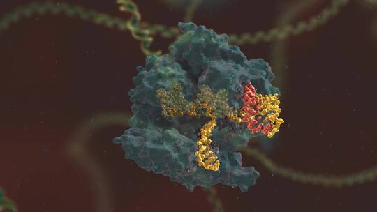 生物科学 基因编辑 DNA 基因工程 医学动画
