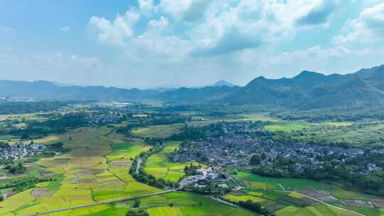 黟县南屏景区水稻田延时4k