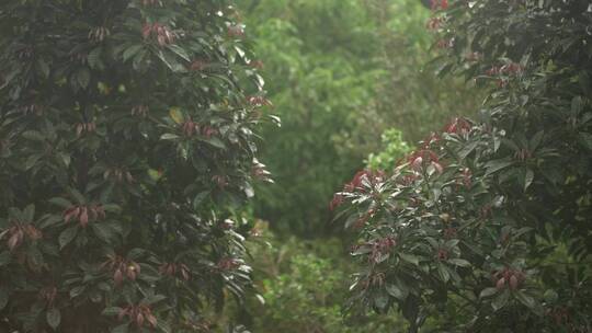 特写玻璃上的雨滴