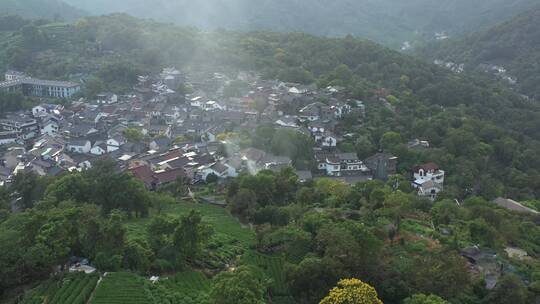 杨梅岭村