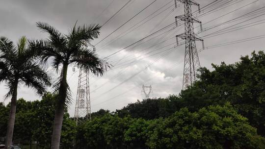 暴雨前天空大风吹动树叶