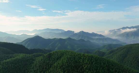 高山竹海云雾云海航拍杭州余杭百丈