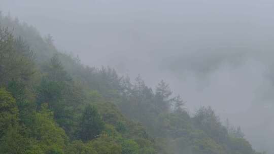 初秋雨中山脉云雾缭绕的绝美自然风光