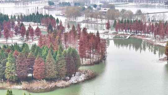 航拍湿地公园雪景树林湖岛