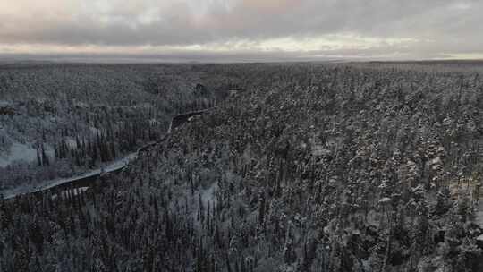 冬天的原始森林视频素材模板下载