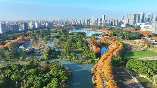 上海世纪公园秋景  上海秋天