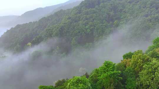 航拍山谷森林云雾  绿水青山 自然环境