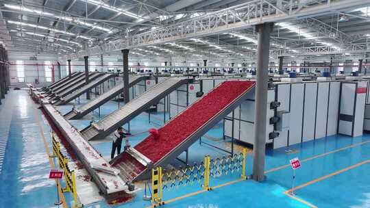 农产品烘干线生产车间