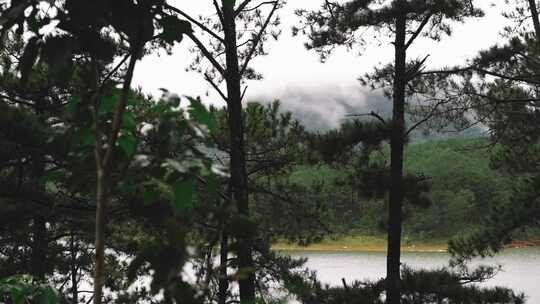 高清实拍山林间风光