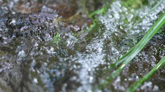 溪流水泡翻腾微距升格