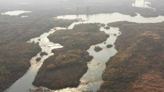 航拍 湿地 鸟 自然保护区 湿地保护区 北方