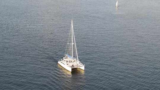 乘坐双体帆船飞越庞恰特雷恩湖的海鸟高清在线视频素材下载