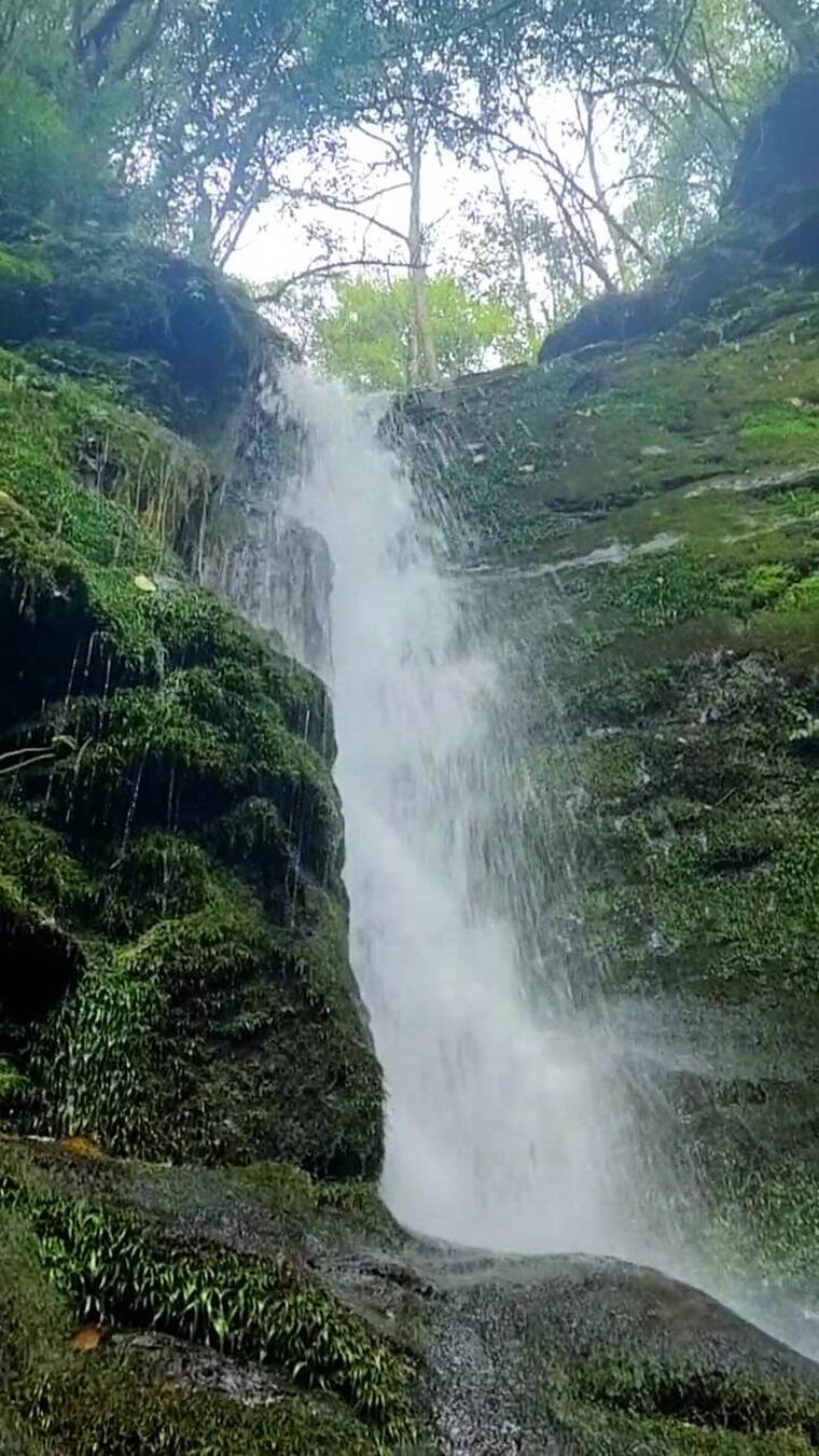 视频素材，唯美意境，清新自然，治愈系风景