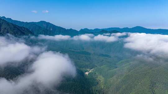 云海山川森林大山风景云海云雾