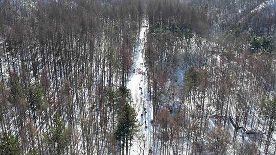 冬天雪后的洛阳白云山森林氧吧