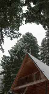 被雾凇大雪覆盖的屋顶和松柏树