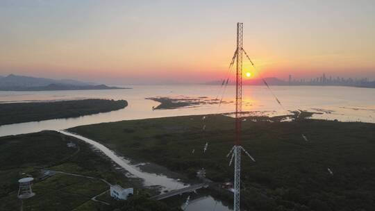 红树林 福田红树林 滨海大道