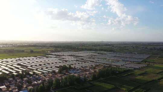 航拍蔬菜大棚 菜篮子 乡村振兴 温室大棚