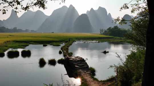 阳光下桂林山边小河上的石桥和岸边的稻田