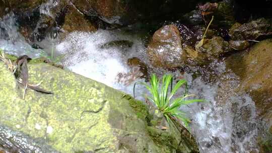 河边流水河流河水小溪山泉泉水水流升格美景