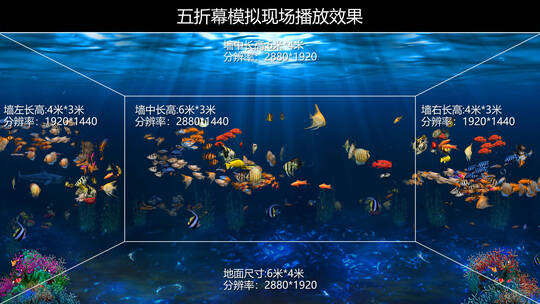 CAVE五折幕沉浸式投影海底鱼群水族馆视频高清在线视频素材下载