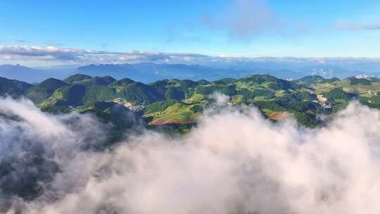 航拍高山草原森林树林云海云雾晴天阳光