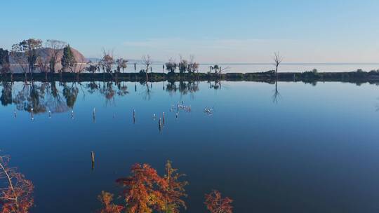 南滇池国家湿地公园秋色航拍