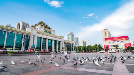 广西南宁民族广场的鸽子