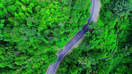 大自然森林旅游客车