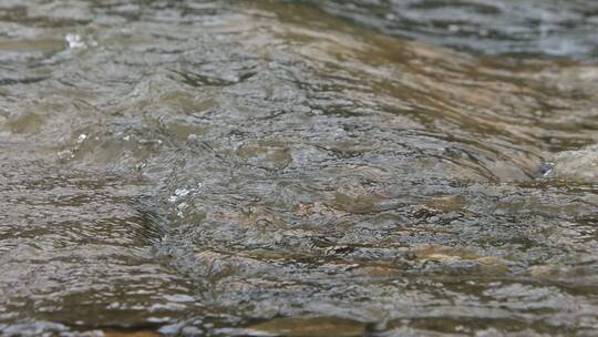 雨后小河里的水流