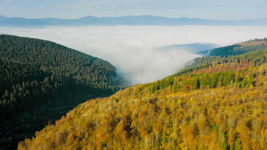 云雾缭绕的山林视频素材模板下载