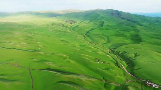 新疆伊犁河谷草原绿色生态农业自然风光航拍