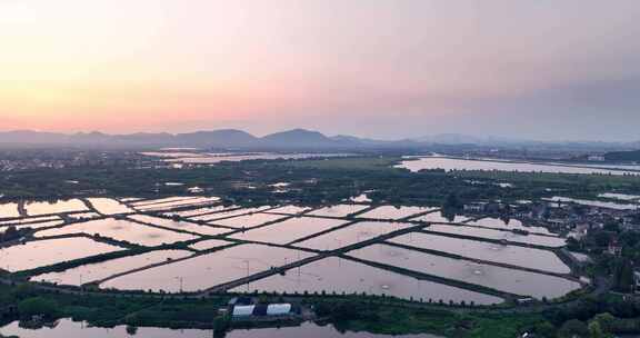 夕阳下的江南水乡水厂养殖鱼塘