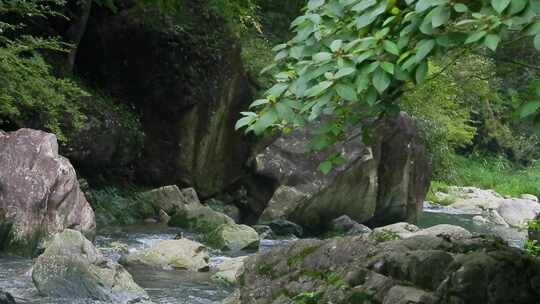 静谧绿谷：山谷溪流的宁静乐章