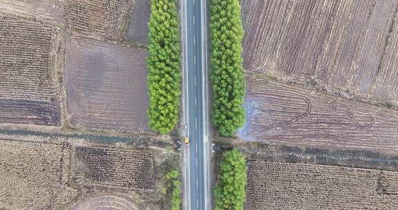 内蒙公路白桦林俯拍