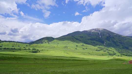 新疆北疆阿勒泰禾木村夏天高山草原自然风景