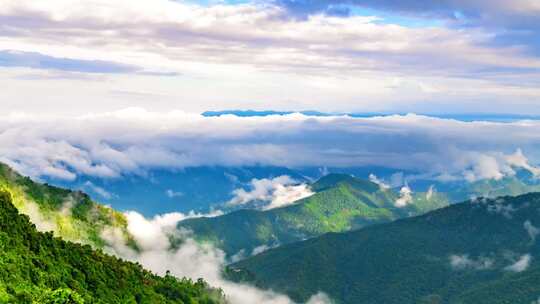 山间云海自然风光 茶山 云南